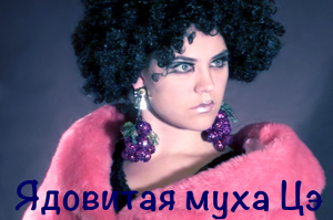 Actress Maria Solovyova in the role of Venomous fly C